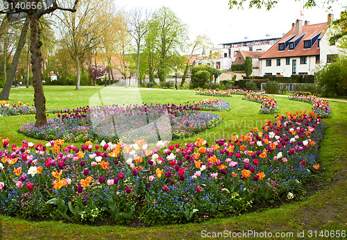 Image of large flower beds full of colourful flowers with houses at background