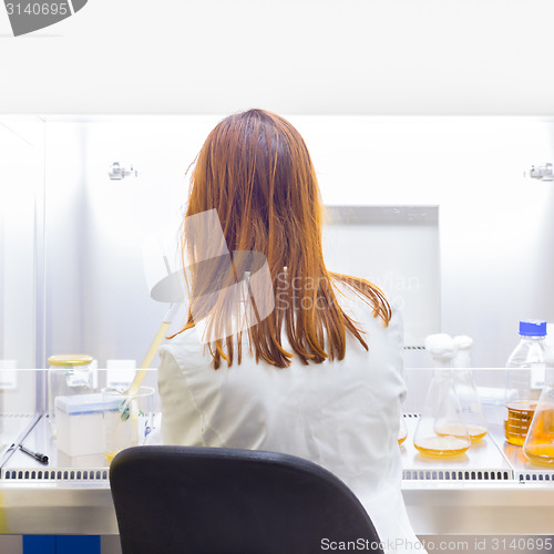 Image of Life scientist researching in the laboratory.