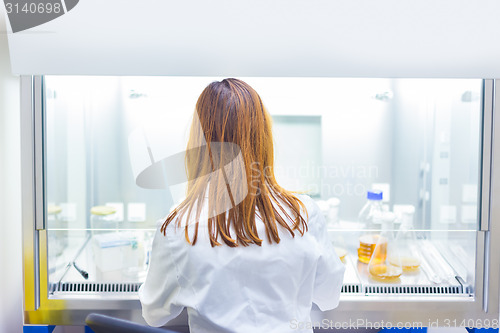 Image of Life scientist researching in the laboratory.