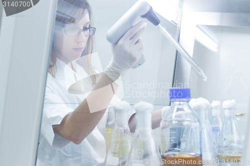 Image of Life scientist researching in the laboratory.