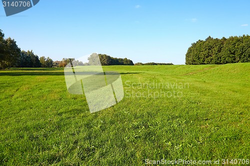 Image of Green Field