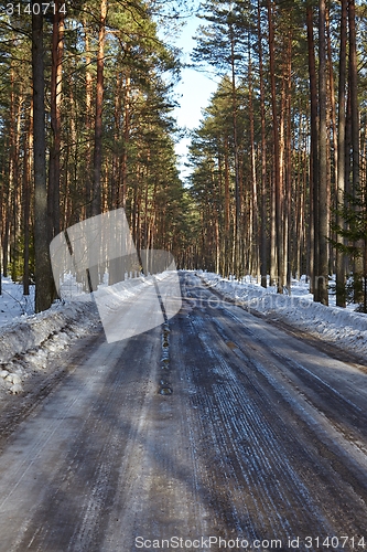 Image of Winter Road