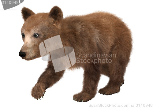 Image of Little Brown Bear