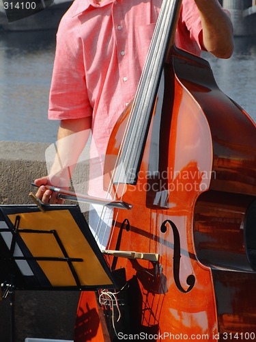 Image of Double-bass street player