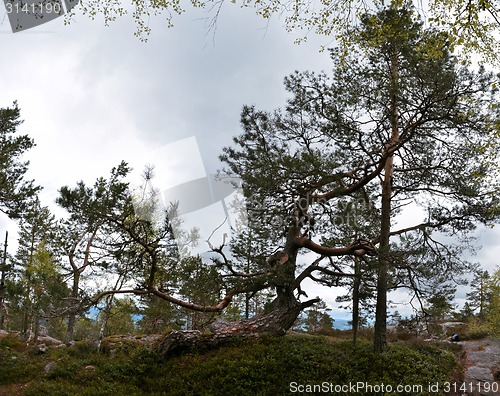 Image of Gygrestolen
