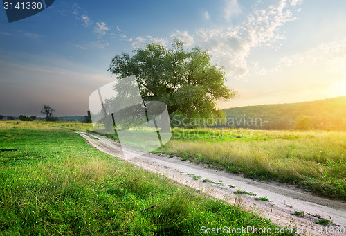 Image of Footpath in field