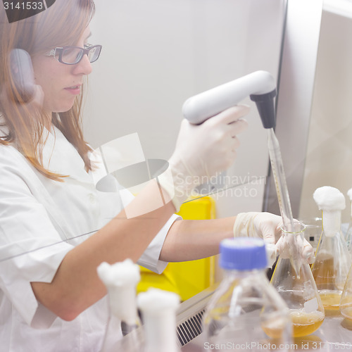 Image of Life scientist researching in the laboratory.