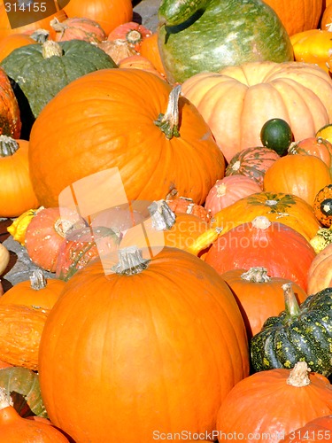 Image of Pumpkin background