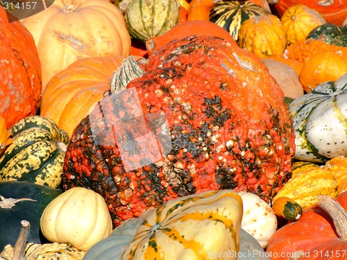 Image of Pumpkin background