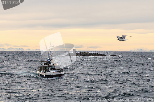 Image of Inshore Fishing