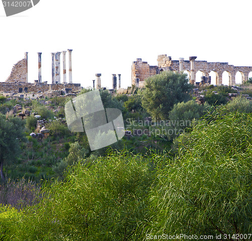 Image of volubilis in morocco africa the old roman deteriorated monument 