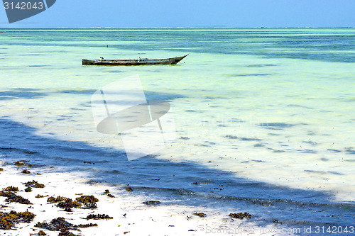 Image of beach   in zanzibar seaweed    ocean tanzania    
