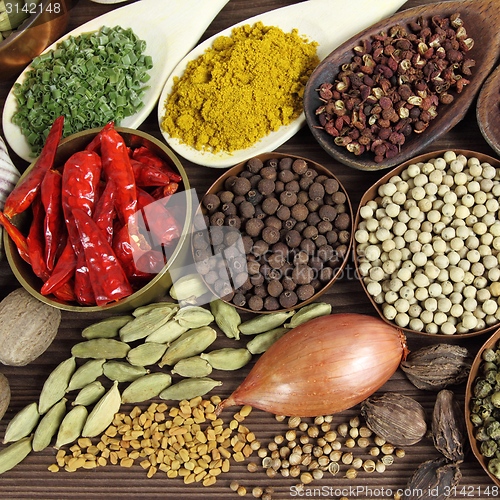 Image of Indian spices