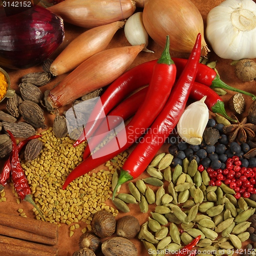 Image of Spices and herbs