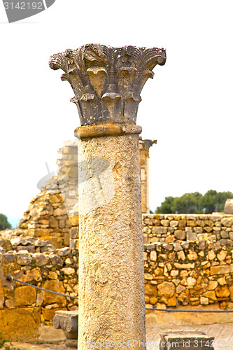 Image of volubilis in morocco africa   deteriorated monument and site