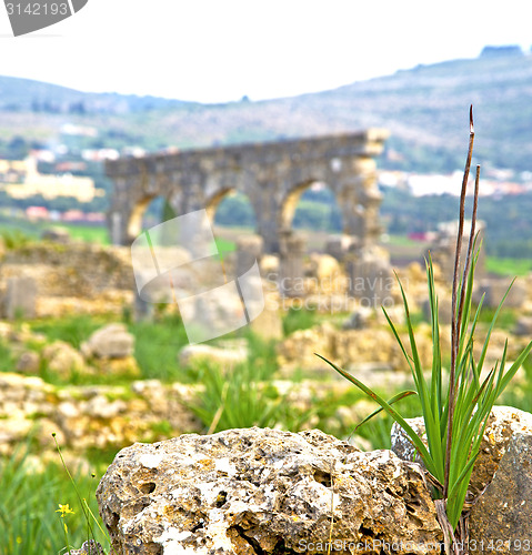 Image of volubilis in morocco africa the old roman deteriorated monument 