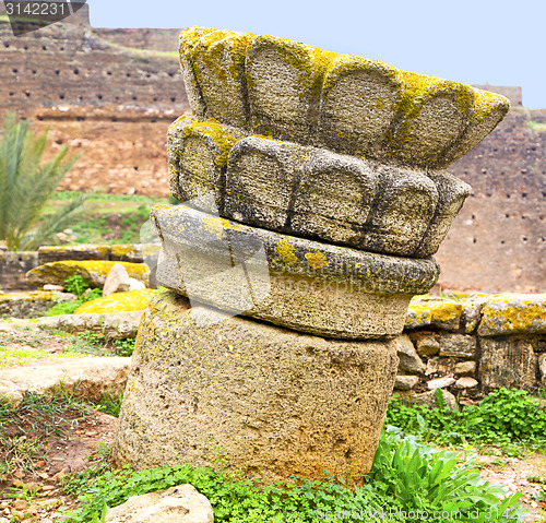 Image of chellah  in morocco africa the old roman deteriorated monument a