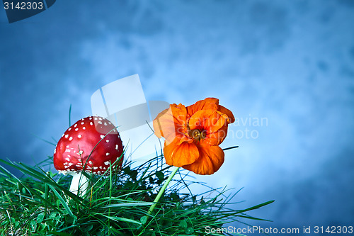 Image of Mushroom and flower