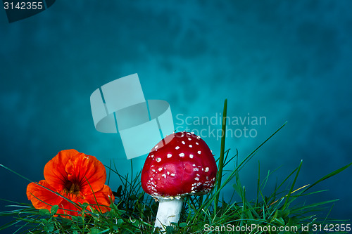 Image of Mushroom and flower