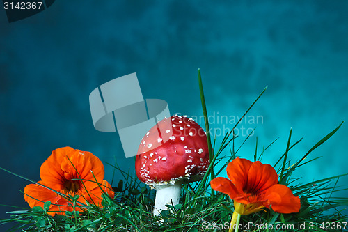 Image of Mushroom and flower