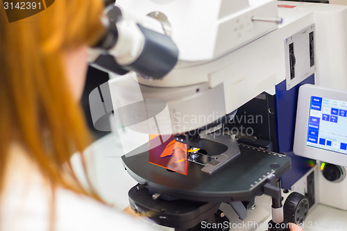 Image of Helth care professional microscoping.