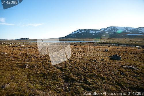 Image of Mountain plateau Valdresflye, Jotunheimen, Norway