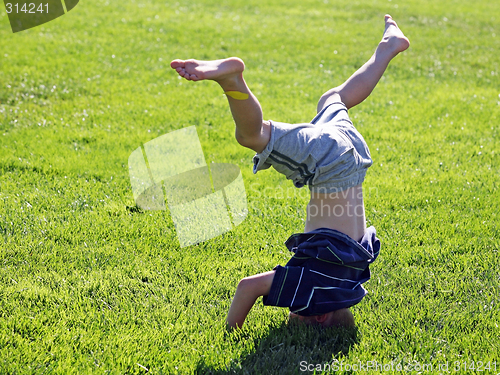 Image of I am most happy upside down!