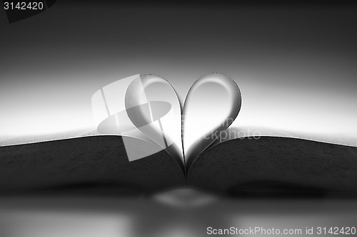 Image of Book with the love shape