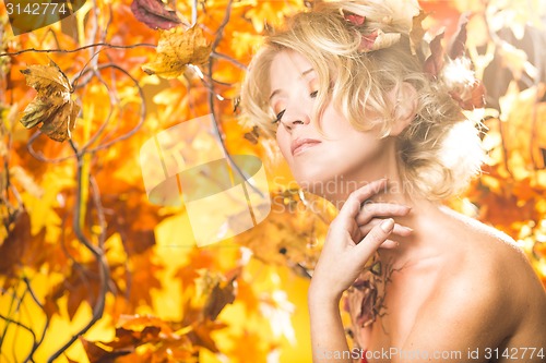 Image of Magic gold autumn blonde girl portrait in leafs