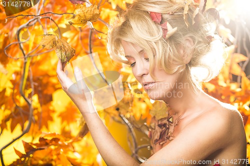 Image of Magic gold autumn blonde girl portrait in leafs