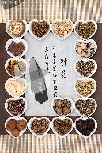 Image of Acupuncture Medicine