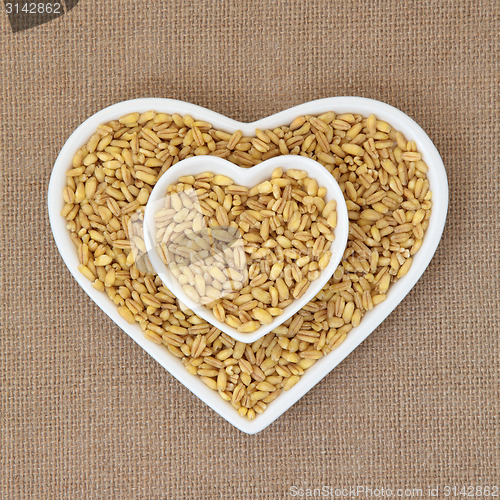 Image of Kamut Khorasan Wheat