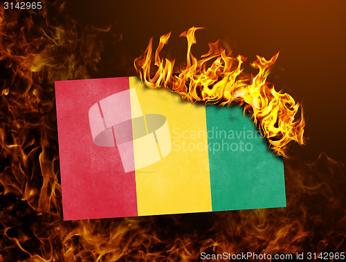 Image of Flag burning - Guinea