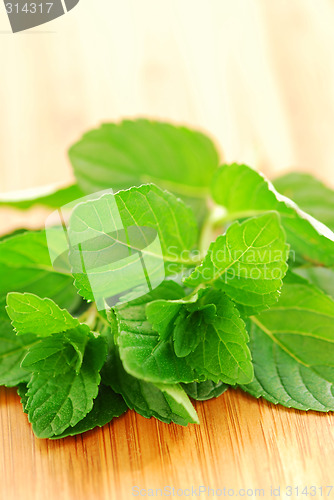 Image of Fresh mint