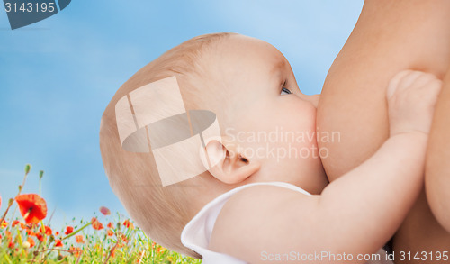 Image of close up of mother breast feeding adorable baby