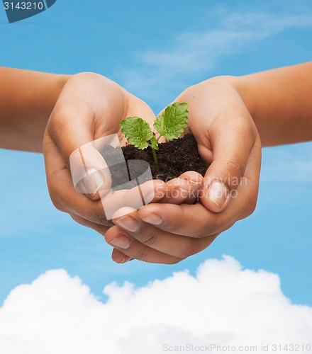 Image of woman hands holding plant in soil