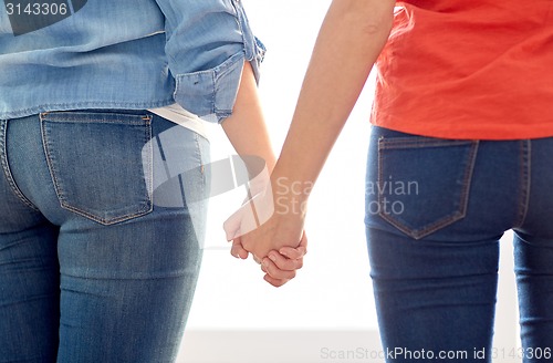 Image of close up of lesbian couple holding hands