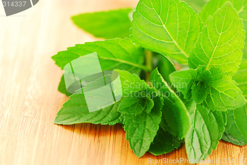 Image of Fresh mint