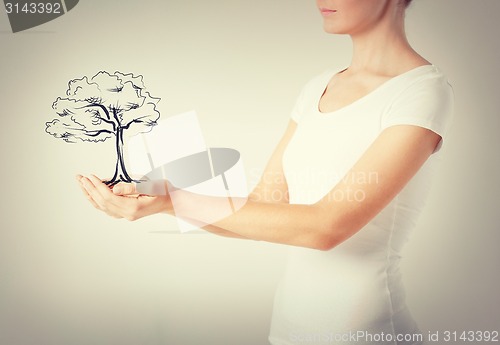 Image of woman with small tree in her hands