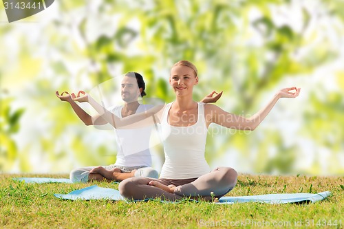 Image of smiling couple making yoga exercises outdoors