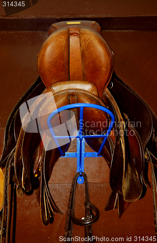 Image of Saddles