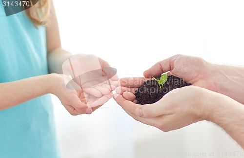 Image of close up of father and girl hands holding sprout