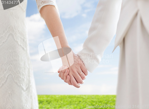 Image of close up of happy lesbian couple holding hands