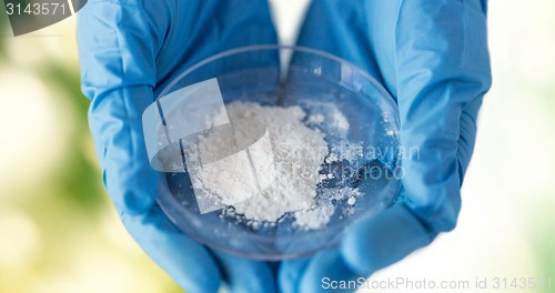 Image of close up of scientist hands holding petri dish