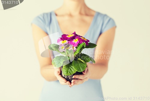 Image of woman's hands holding flower in soil