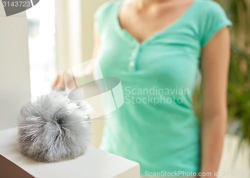 Image of close up of woman with duster cleaning at home