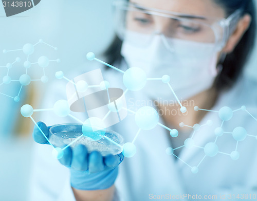 Image of close up of scientist holding petri dish in lab