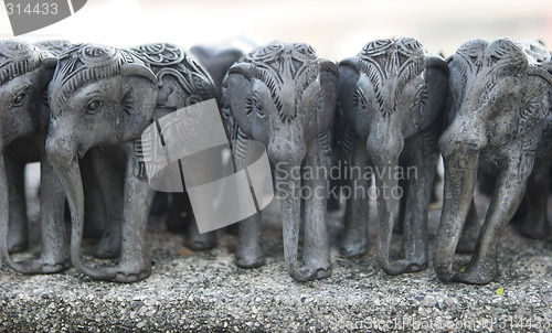 Image of Elephants