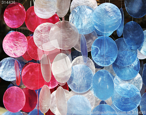 Image of Shells