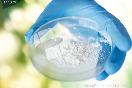 Image of close up of scientist hands holding petri dish